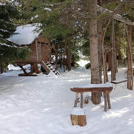 "Моето Любимо Място", Смолянски Езера - "My Favorite Place", Smolyan Lakes Exterior foto