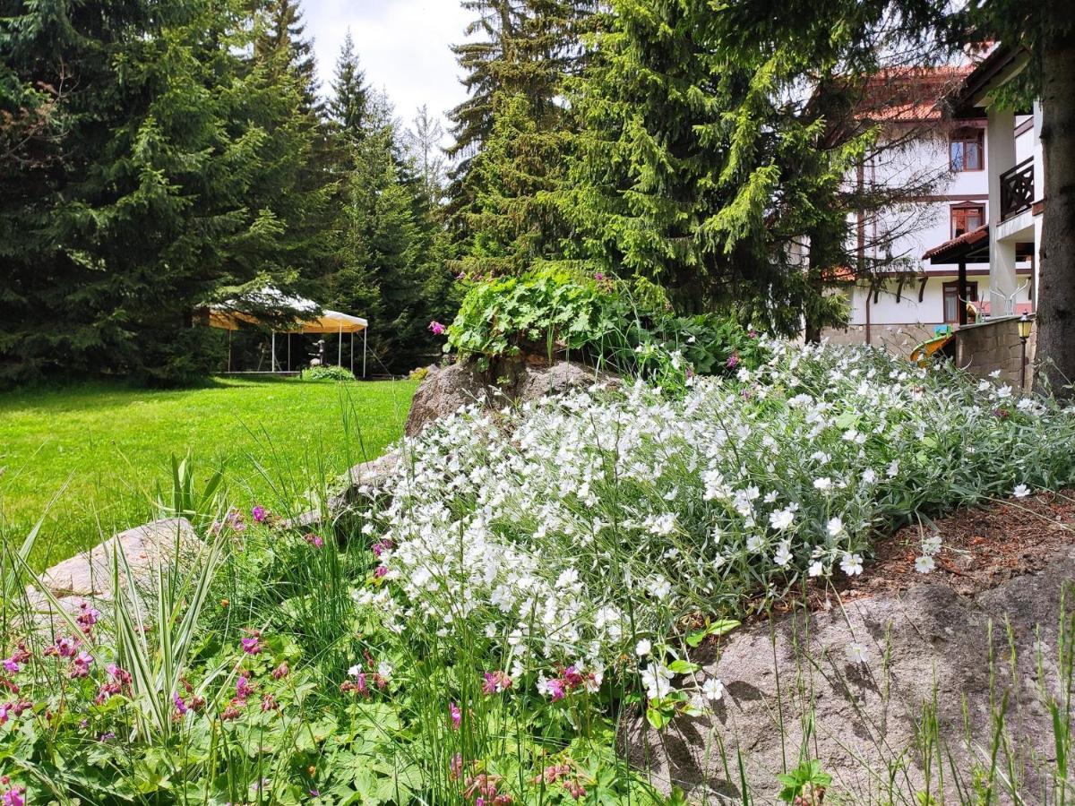 "Моето Любимо Място", Смолянски Езера - "My Favorite Place", Smolyan Lakes Exterior foto