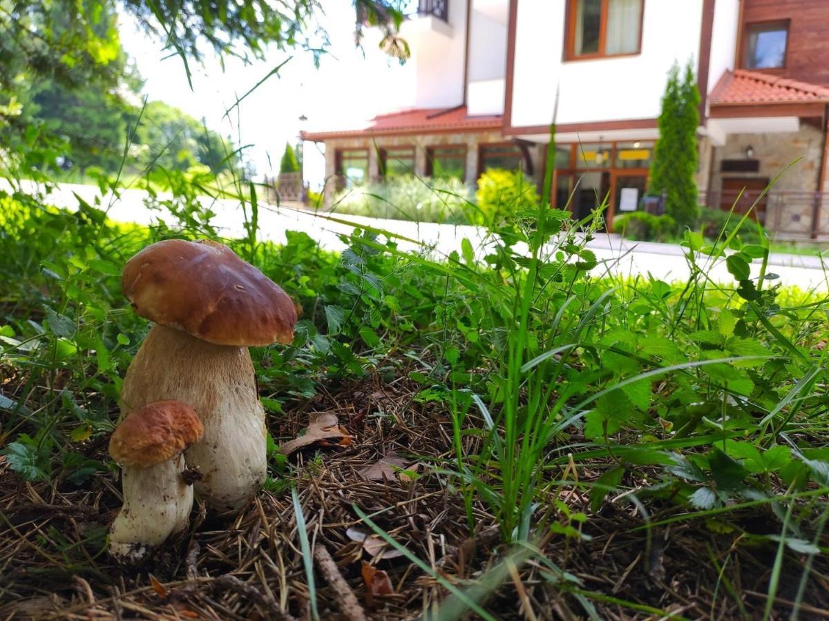 "Моето Любимо Място", Смолянски Езера - "My Favorite Place", Smolyan Lakes Exterior foto