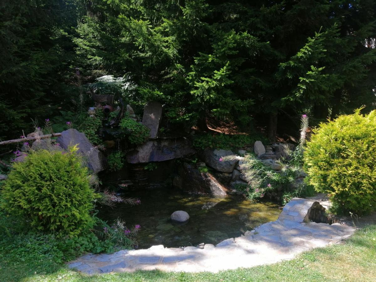 "Моето Любимо Място", Смолянски Езера - "My Favorite Place", Smolyan Lakes Exterior foto