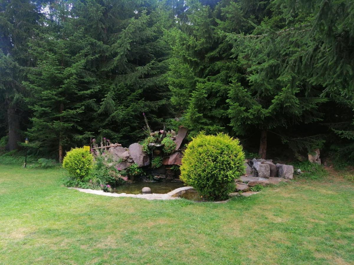 "Моето Любимо Място", Смолянски Езера - "My Favorite Place", Smolyan Lakes Exterior foto